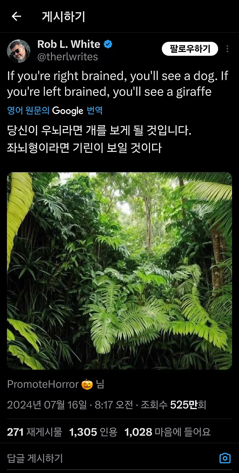 본문 이미지